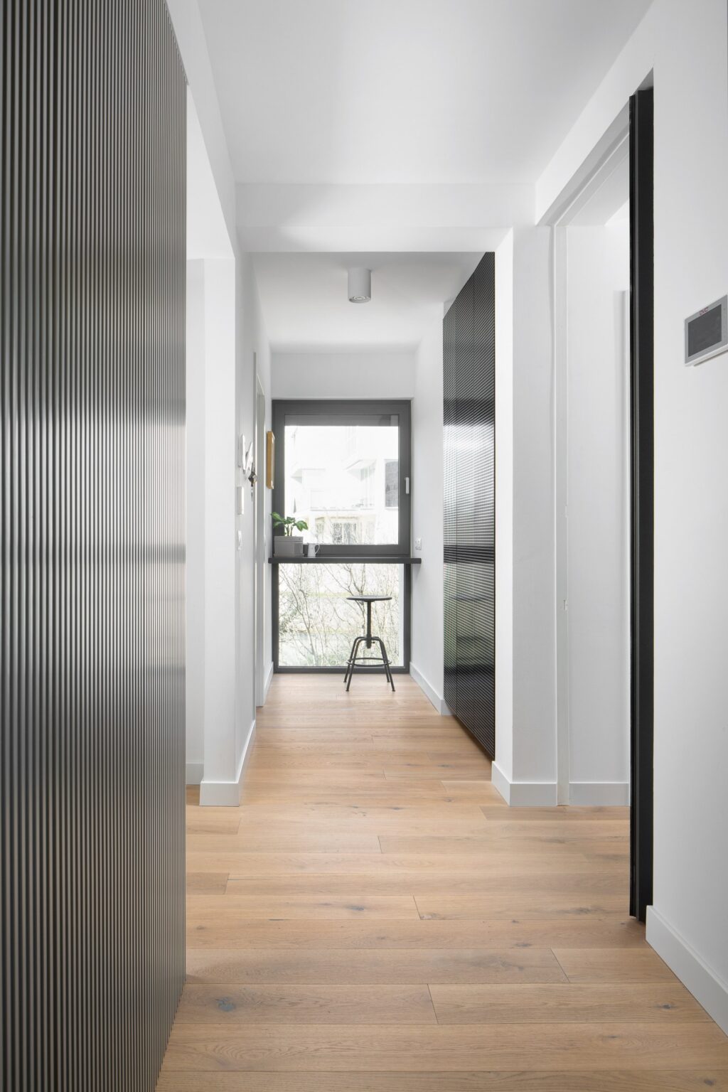 Coss - Terra Interior – photo